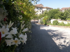 Bed And Breakfast L'aquila: Il vialetto